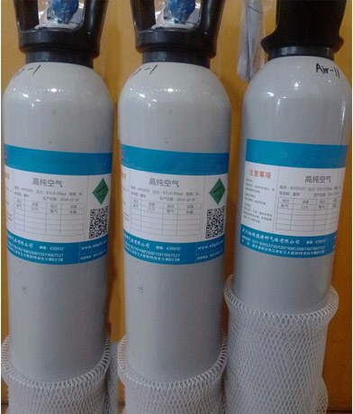 电力标准气